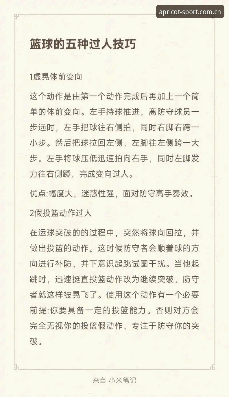 从新手到高手：资深用户亲测杏运体育官方入口使用技巧全攻略